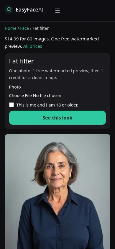 Mobile screenshot of the Fat filter tool, with See this look