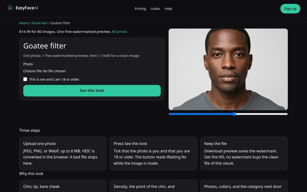 Desktop screenshot of the Goatee filter tool, with See this look