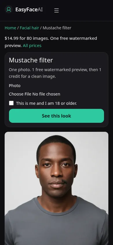 Mobile screenshot of the Mustache filter tool, with See this look