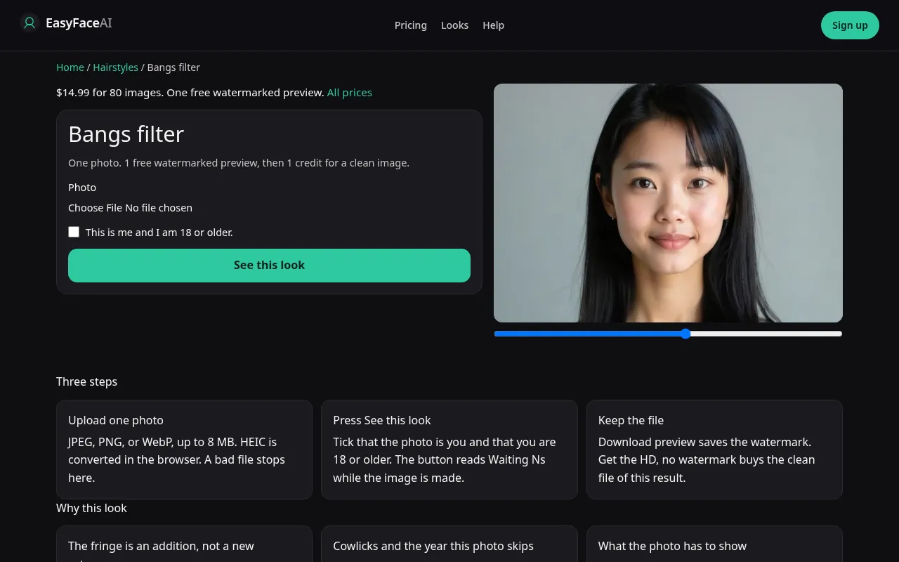 Desktop screenshot of the Bangs filter tool, with See this look