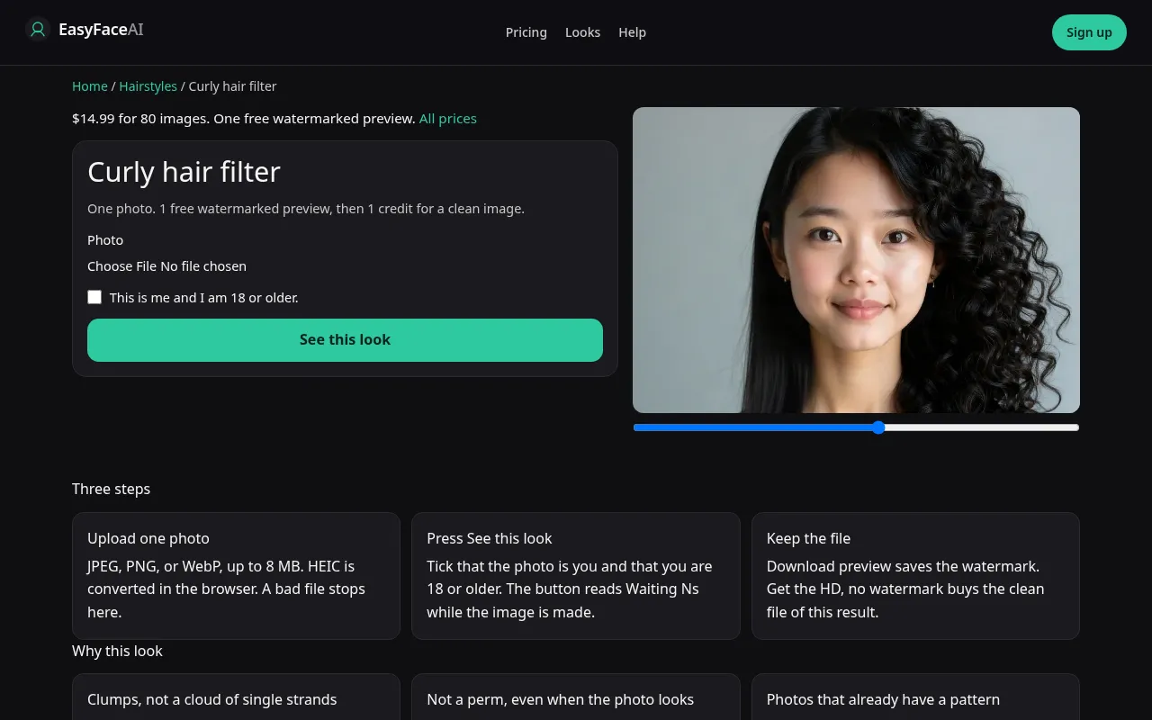 Desktop screenshot of the Curly hair filter tool, with See this look