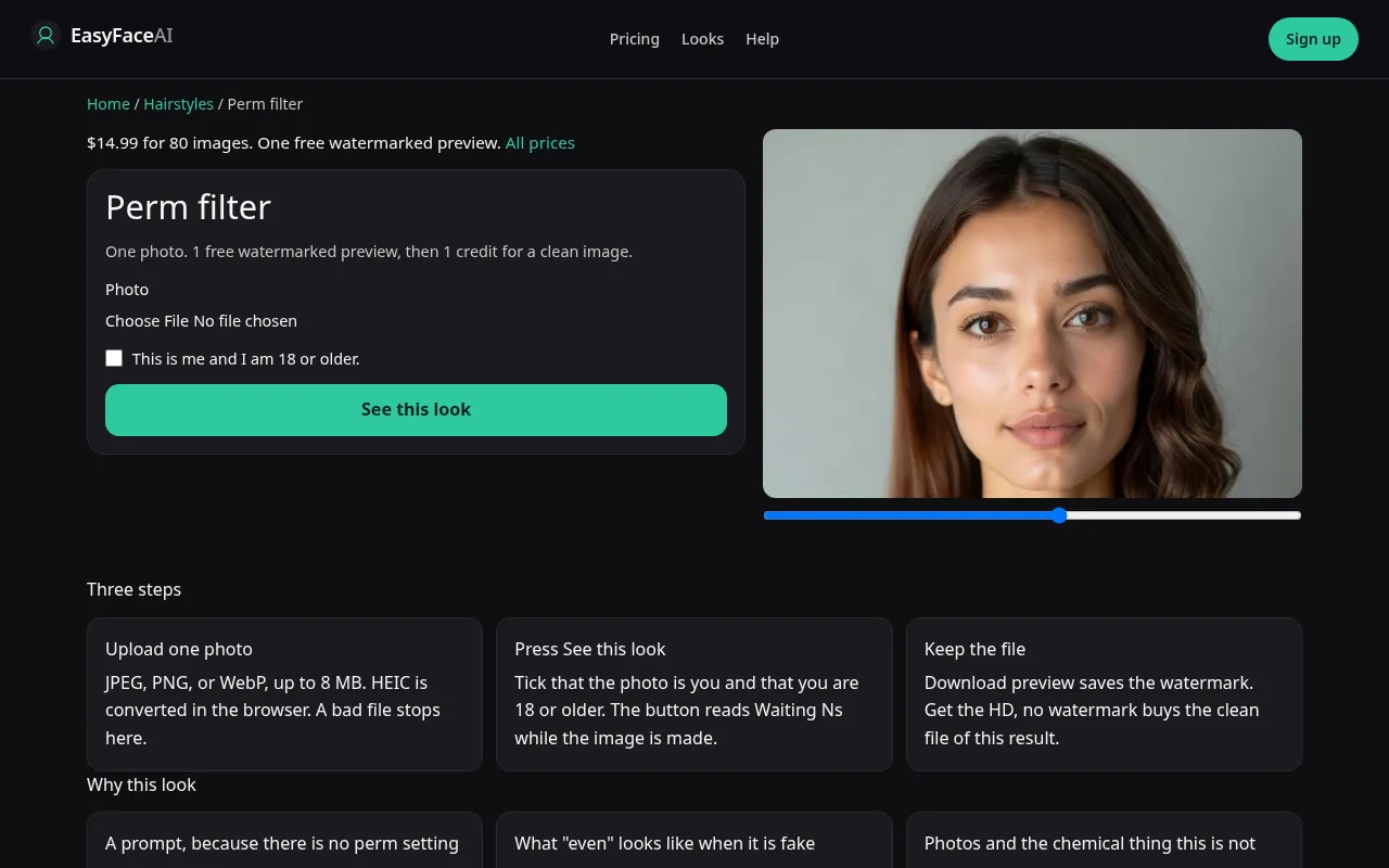 Desktop screenshot of the Perm filter tool, with See this look