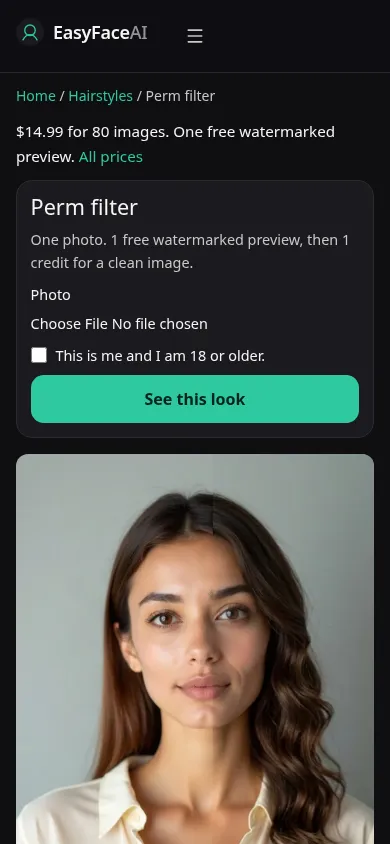 Mobile screenshot of the Perm filter tool, with See this look