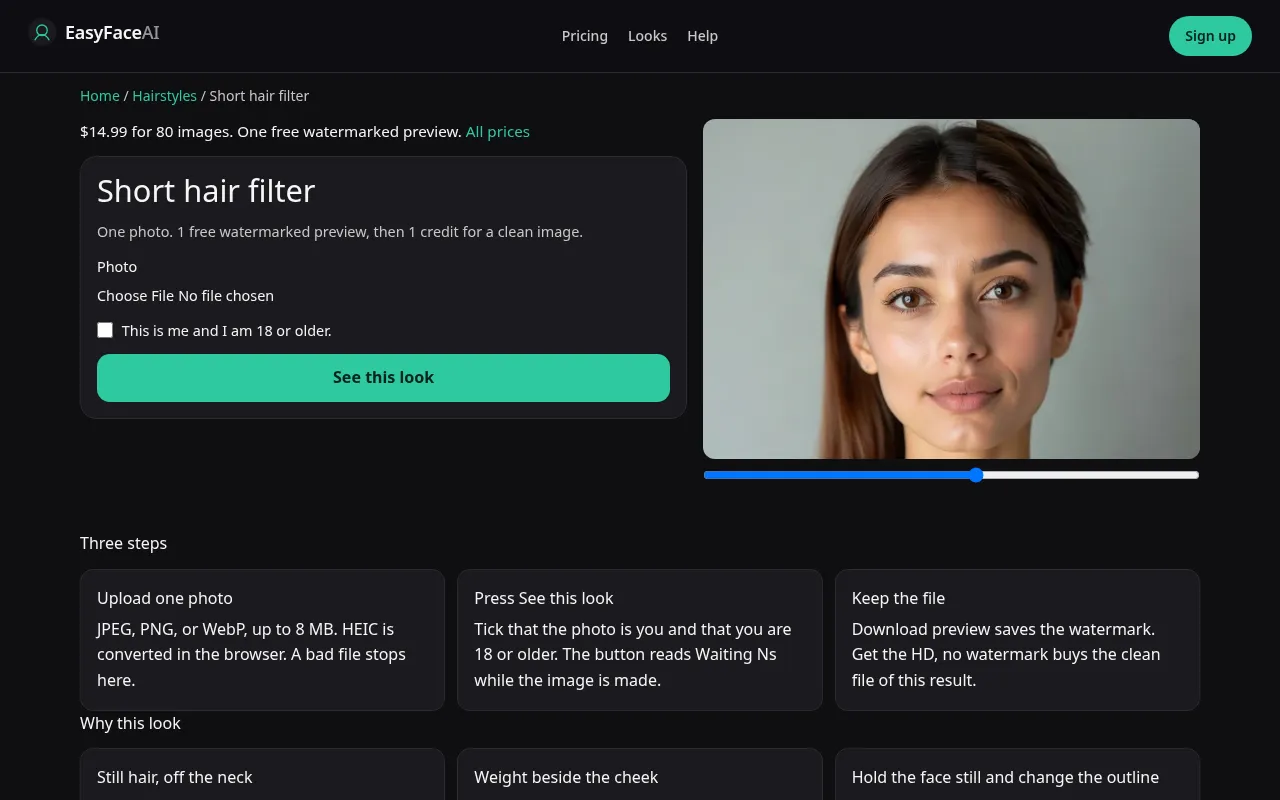 Desktop screenshot of the Short hair filter tool, with See this look