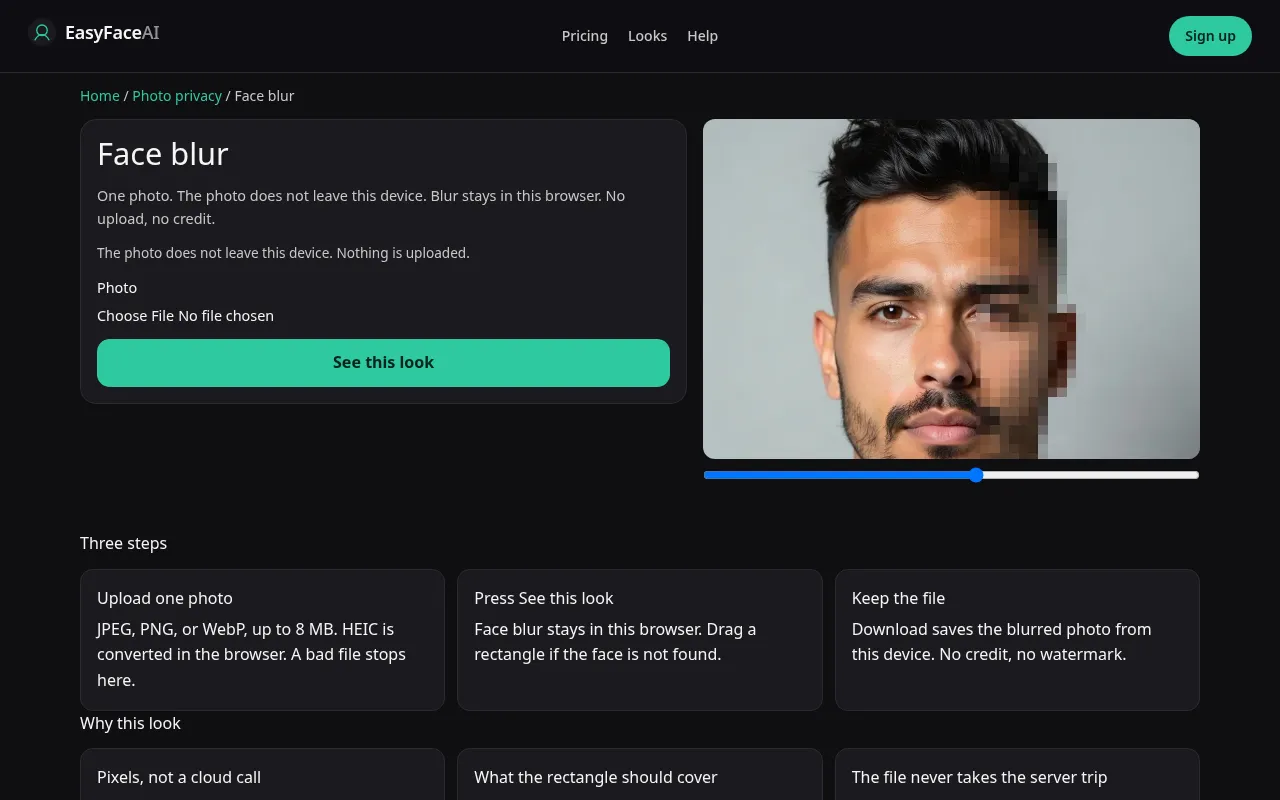 Desktop screenshot of the Face blur tool, with See this look
